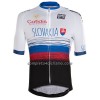 Maglia 2022 Nazionale Slovacchia Manica Corta